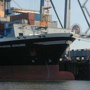 Maßnahme Sedimentmanagementkonzept Bild: Containerhafen